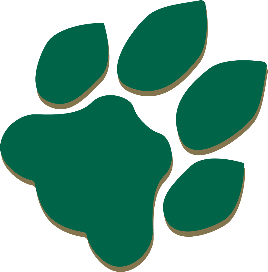 Ohio Bobcats 1978-1996 Alternate Logo diy DTF decal sticker